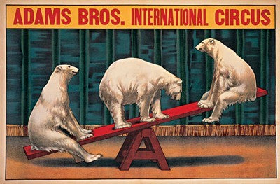 Adams Bros Int'l Circus Wall Art | 16 x 22 1/4 Fine Art Print