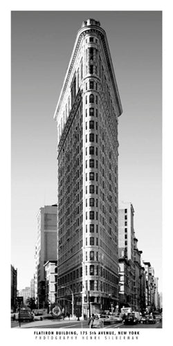 Flatiron by Henri Silberman | 19 3/4 x 9 Fine Art Print