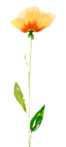 Shades of Yellow by Robin | 19 3/4 x 9 Fine Art Print