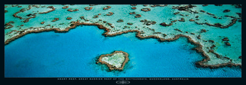 Heart Reef, Great Barrier Reef by Grant Faint | 13 x 37 Fine Art Print