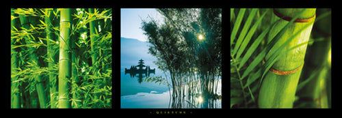 Quietude by Photography Collection | 13 x 37 Fine Art Print