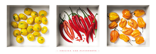 Framed Art Chilies and Patissons by Dave Brullmann | 13 x 37