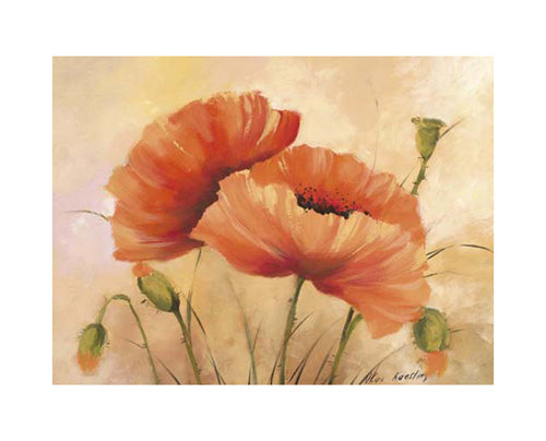 Mohnblumen by Olga Kaesling | 9 1/2 x 11 3/4 Fine Art Print