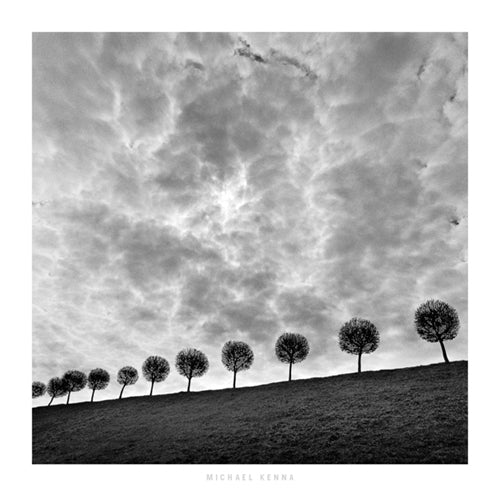 Ten and a Half Trees, Peterhof, Russia, 2000 by Michael Kenna