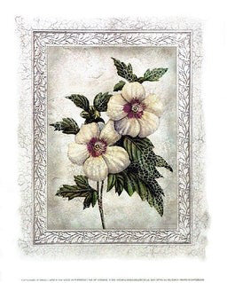 Flowers of Spring I by Tom Wood | 19 3/4 x 15 3/4 Fine Art Print