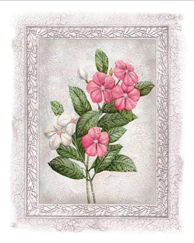 Flowers of Spring III by Tom Wood | 19 3/4 x 15 3/4 Fine Art Print