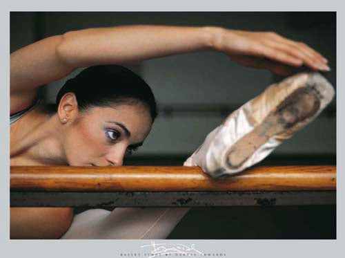 Intensity by Harvey Edwards | 15 3/4 x 19 3/4 Fine Art Print