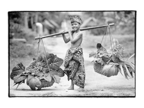 Bali III by Kim Anderson | 15 3/4 x 19 3/4 Fine Art Print