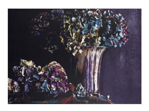 Hydrangea by Jenny Dreifuss | 15 3/4 x 19 3/4 Fine Art Print