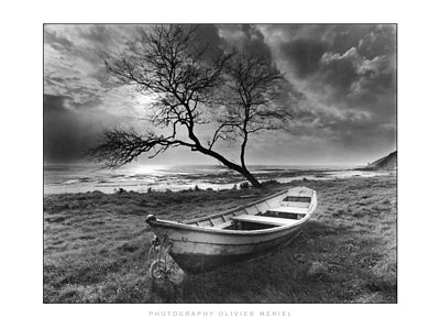 Doris sur la Falaise, Saint-Jean-le-Thomas by Olivier Meriel