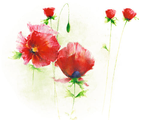 Red Poppies I by Andrea Fontana | 15 3/4 x 19 3/4 Fine Art Print