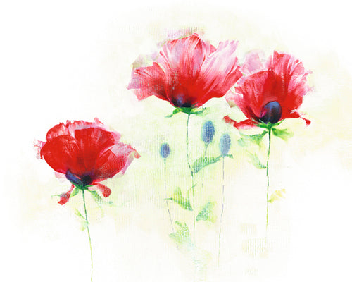 Red Poppies II by Andrea Fontana | 15 3/4 x 19 3/4 Fine Art Print