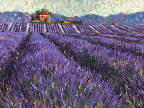 Lavender Fields I by Lorraine Westwood | 15 3/4 x 19 3/4 Fine Art Print