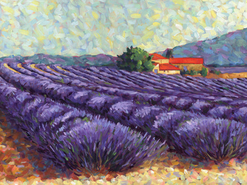 Lavender Fields II by Lorraine Westwood | 15 3/4 x 19 3/4 Fine Art Print