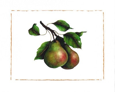Comice Pear by Morgan Kari | 15 3/4 x 19 3/4 Fine Art Print
