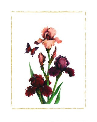 Irises of Spring I by Morgan Kari | 19 3/4 x 15 3/4 Fine Art Print