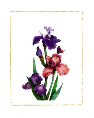 Irises of Spring II by Morgan Kari | 19 3/4 x 15 3/4 Fine Art Print