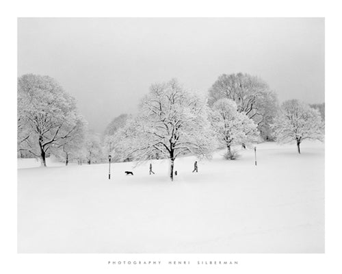 Prospect Park Trees by Henri Silberman | 15 3/4 x 19 3/4 Fine Art Print