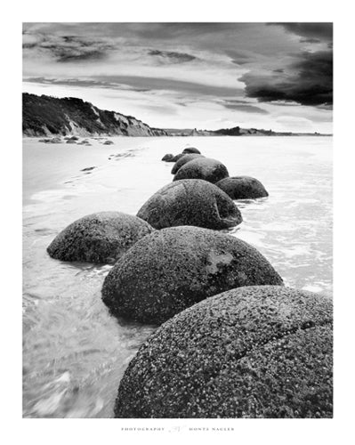 Otago Coast, New Zealand by Monte Nagler | 19 3/4 x 15 3/4 Fine Art Print