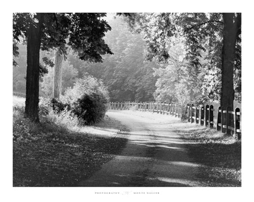 Path Into the Woods, Burgundy, France by Monte Nagler