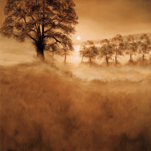 Misty Morning by Alan Parker | 27 1/2 x 27 1/2 Fine Art Print