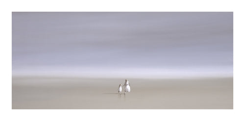 Two for Tea by Steve Johnston | 19 3/4 x 39 1/2 Fine Art Print