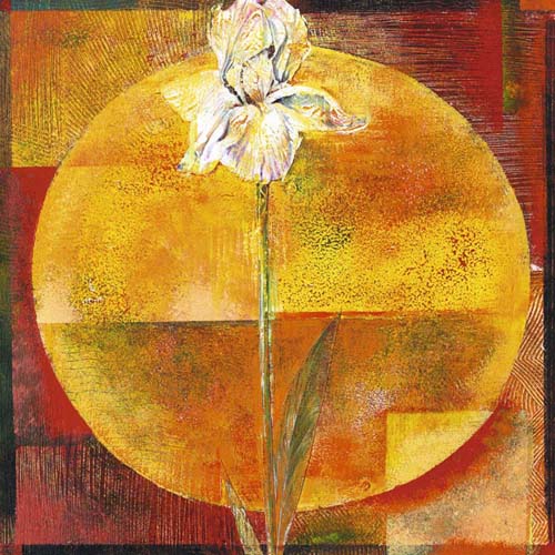 White Iris by Yvonne Dulac | 19 3/4 x 19 3/4 Fine Art Print
