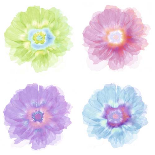 Quatre Fleurs by Robin | 19 3/4 x 19 3/4 Fine Art Print