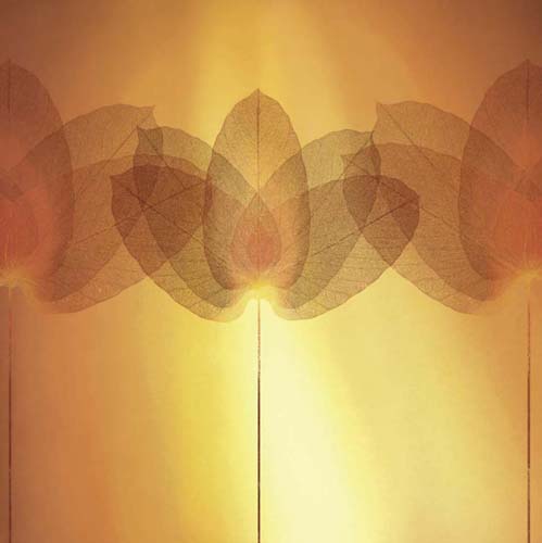 Transparence V by Robin | 19 3/4 x 19 3/4 Fine Art Print