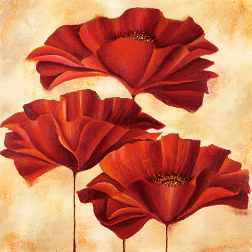 Three Poppies II by Nicola Rabbett | 19 3/4 x 19 3/4 Fine Art Print