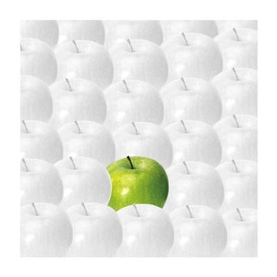 Apples by Johannes Weber | 11 3/4 x 11 3/4 Fine Art Print