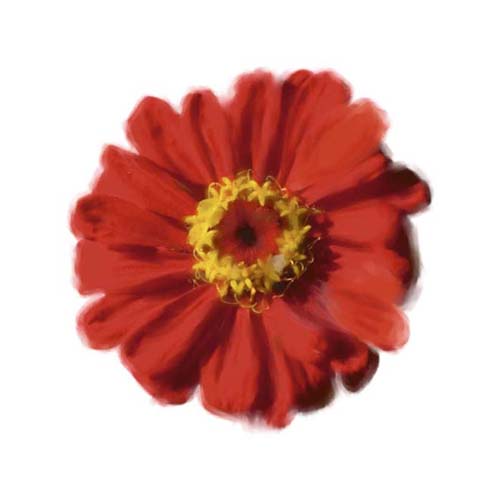 Petales Rouges II by Tasmin Phoenix | 11 3/4 x 11 3/4 Fine Art Print