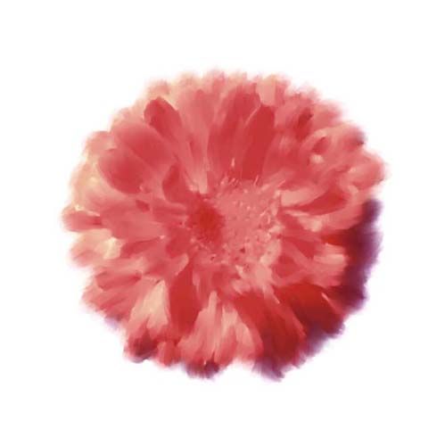 Petales Rouges III by Tasmin Phoenix | 11 3/4 x 11 3/4 Fine Art Print