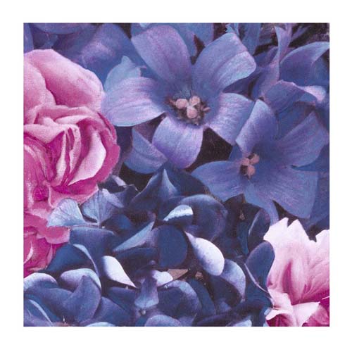 Pink and Blue Flowers by Jenny Dreifuss | 11 3/4 x 11 3/4 Fine Art Print