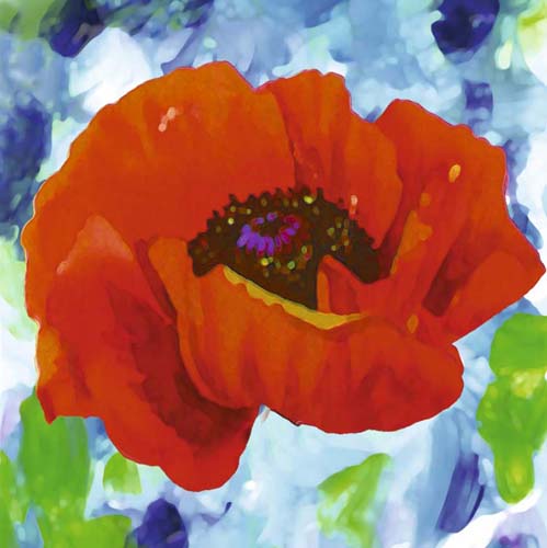 Red Poppy by Yvonne Dulac | 11 3/4 x 11 3/4 Fine Art Print