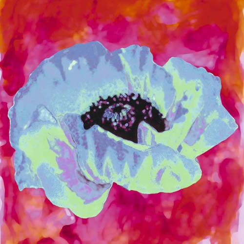 Blue Poppy by Yvonne Dulac | 11 3/4 x 11 3/4 Fine Art Print