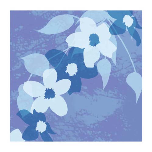 Asa by Kate Knight | 11 3/4 x 11 3/4 Fine Art Print