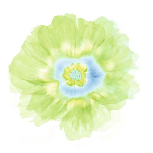 Fleur Verte by Robin | 11 3/4 x 11 3/4 Fine Art Print