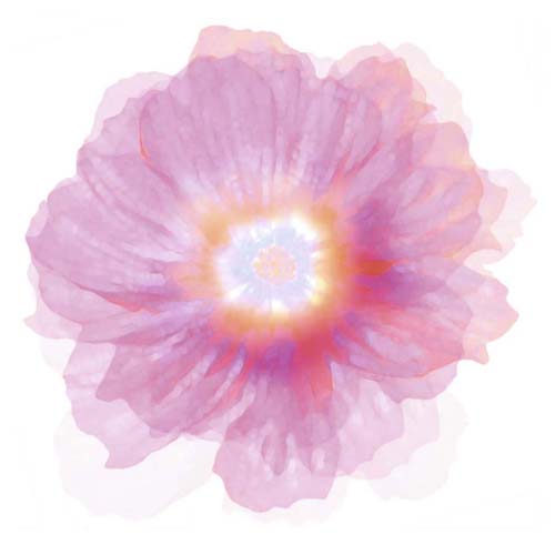 Fleur Rose by Robin | 11 3/4 x 11 3/4 Fine Art Print
