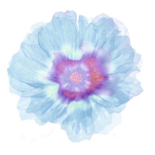 Fleur Bleue by Robin | 11 3/4 x 11 3/4 Fine Art Print