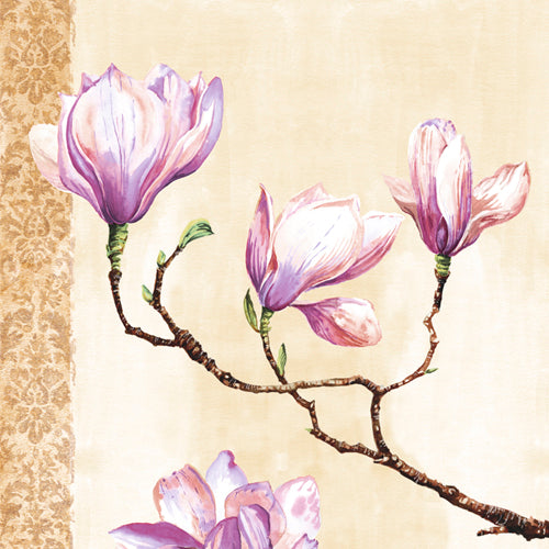 Magnolias on Pink by Louise Anglicas | 11 3/4 x 11 3/4 Fine Art Print