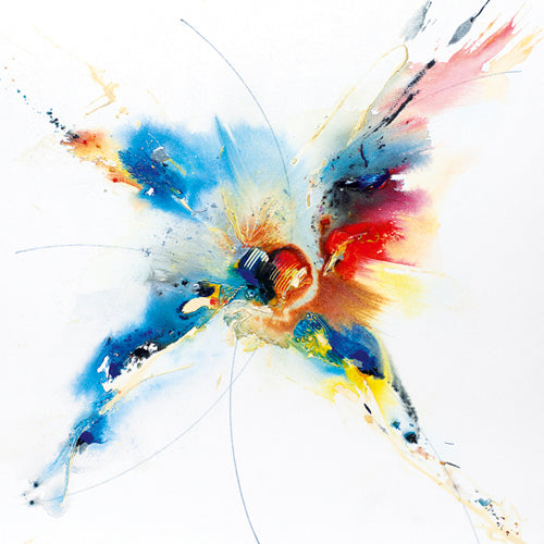 Flying Colours I by Hansjorg Furrer | 11 3/4 x 11 3/4 Fine Art Print