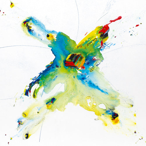 Flying Colours II by Hansjorg Furrer | 11 3/4 x 11 3/4 Fine Art Print
