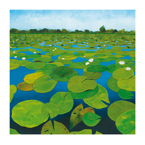 Waterlilies by Alexander Hamawi | 11 3/4 x 11 3/4 Fine Art Print