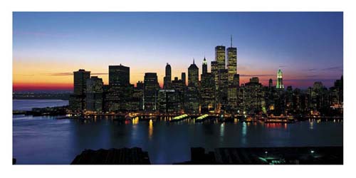 Framed Art New York Skyline by Richard Berenholtz | 19 3/4 x 39 1/2