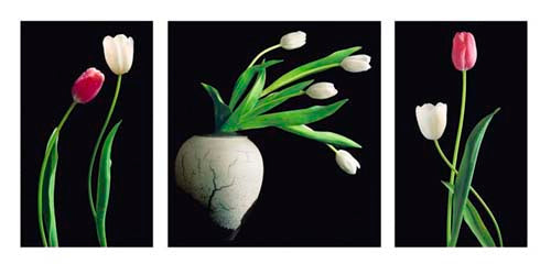 Framed Art Love by Harvey Edwards | 19 3/4 x 39 1/2