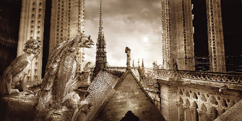Framed Art Paris, Gargouiles de Notre Dame by Stéphane Rey-Gorrez