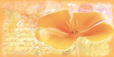 Yellow Flower by Andrea Haase | 19 3/4 x 39 1/2 Fine Art Print