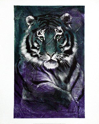 Young Tiger by Rolf Knie | 19 5/8 x 15 5/8 Fine Art Print