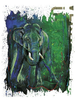 Born to Run by Rolf Knie | 19 3/4 x 15 3/4 Fine Art Print
